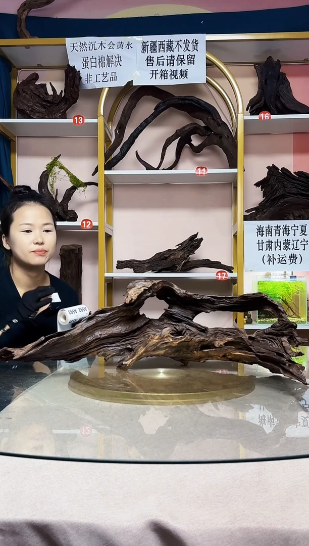 章*紫柚木一物一拍A590