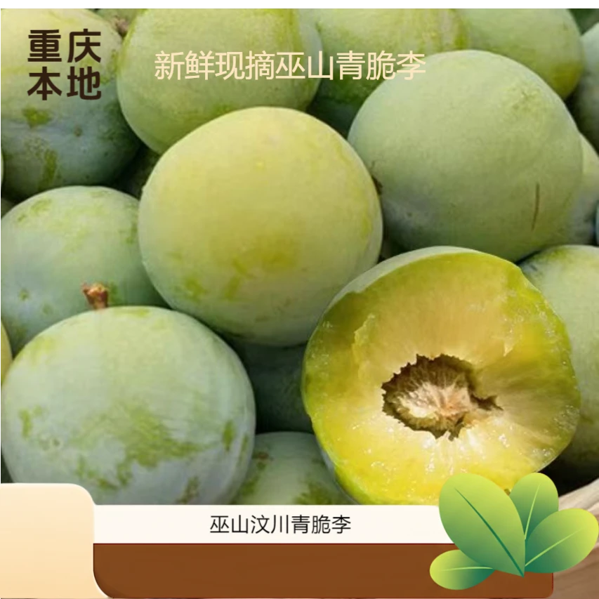 彩箱.正宗重庆巫山脆李新鲜清脆李开州金翠李子新鲜当季水果