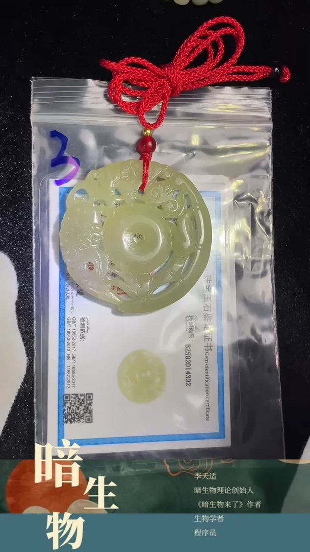 【闪购商品】和田玉吊坠(赠链)未镶嵌3