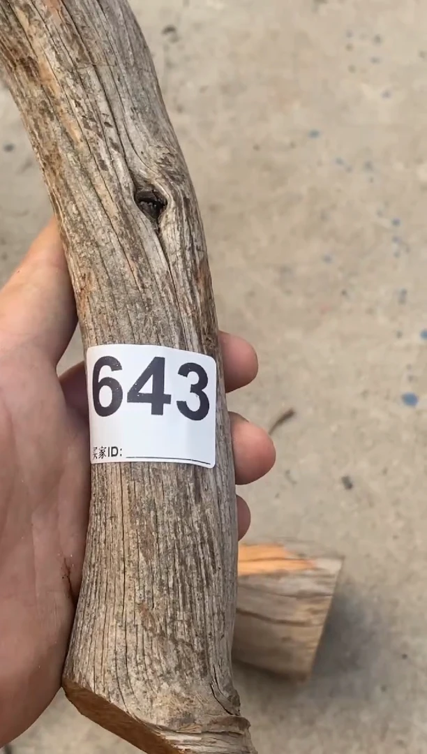 柏木（崖柏）太行山崖柏切片一块（津诚林）