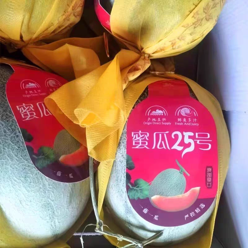 【惠多鲜甄选】很甜很脆的哈密瓜 25号小蜜 5斤左右