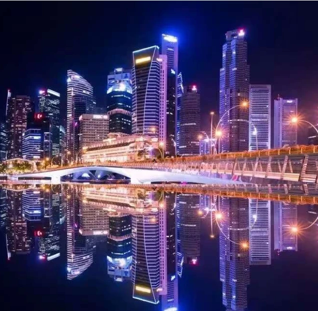 【新哥限量】高奢女式包包7008