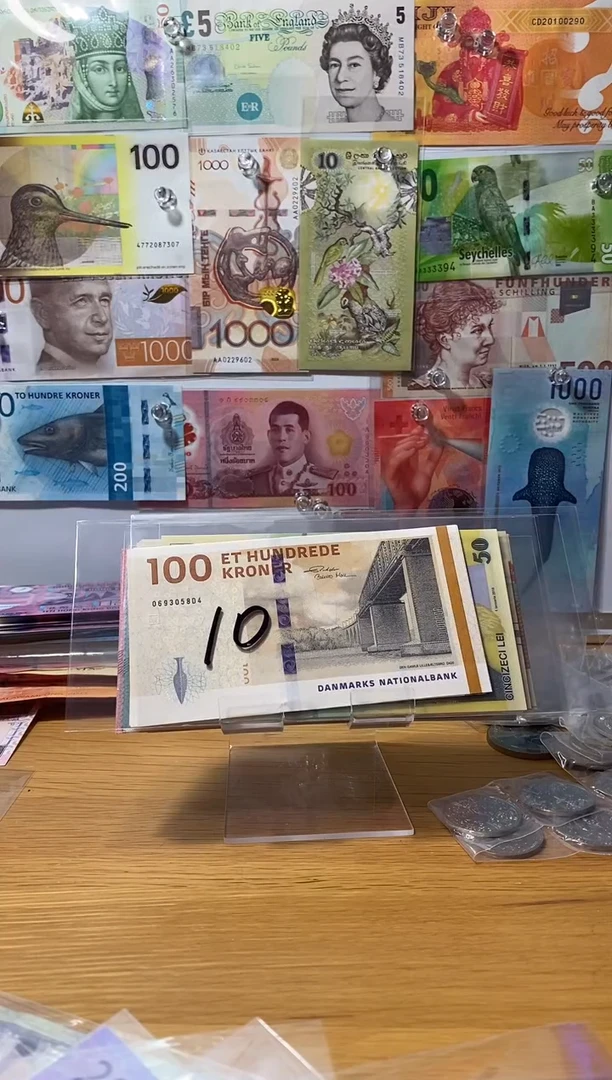 普通金属币，丹麦100纸币一张