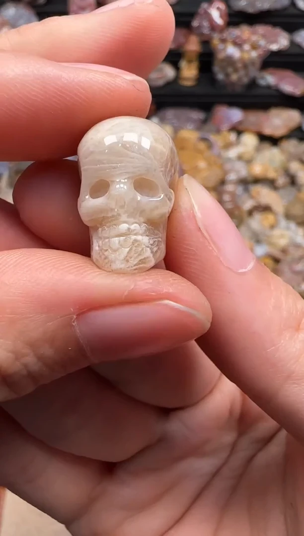 【闪购商品】硅化珊瑚（珊瑚玉）颈饰未镶嵌200