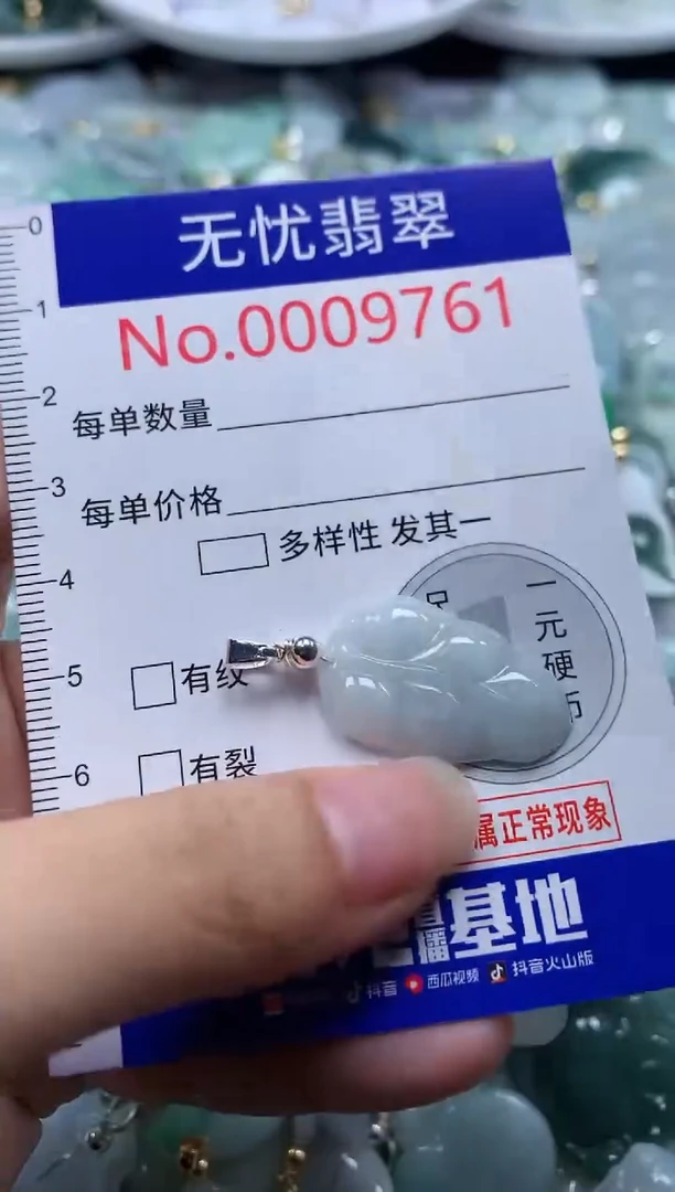 翡翠未镶嵌吊坠(不含链)9761