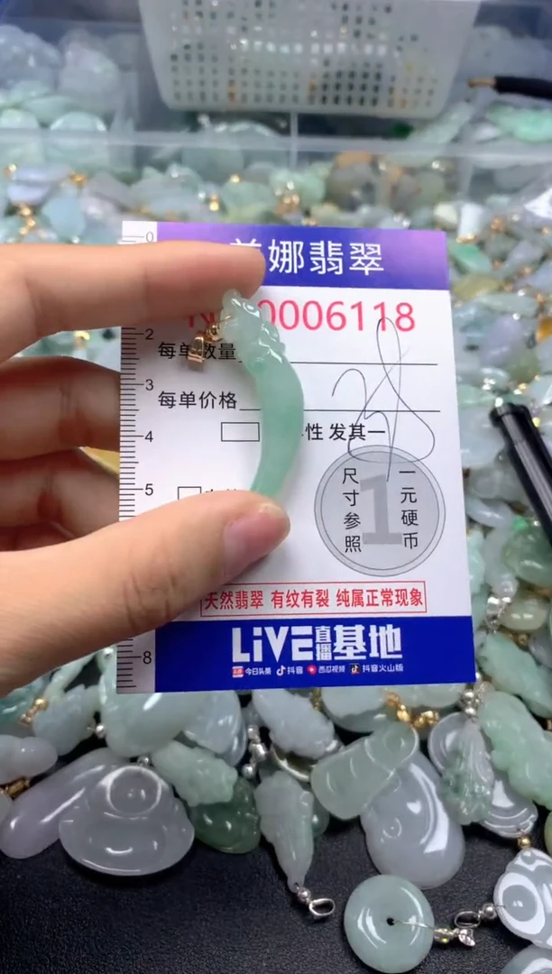 颈饰未镶嵌翡翠6118