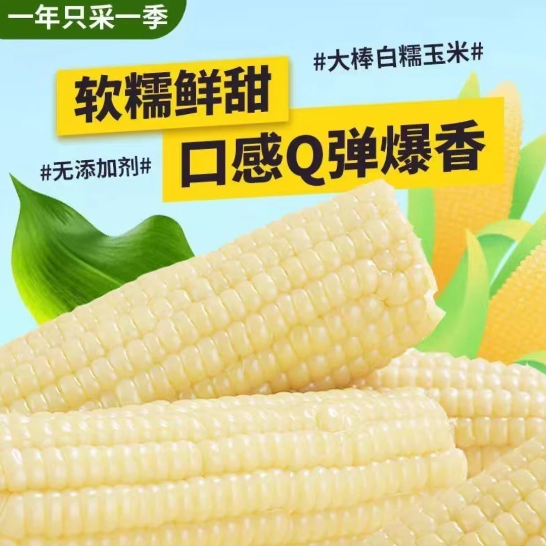 当季白糯水果玉米3小时真空锁鲜软糯香甜蒸煮3分钟热吃口感更佳