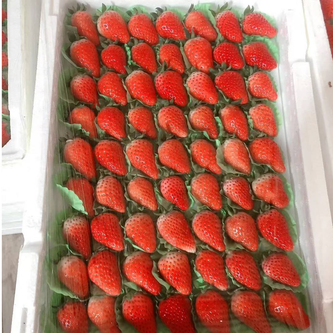 牛奶甜宝草莓59.9元/1板