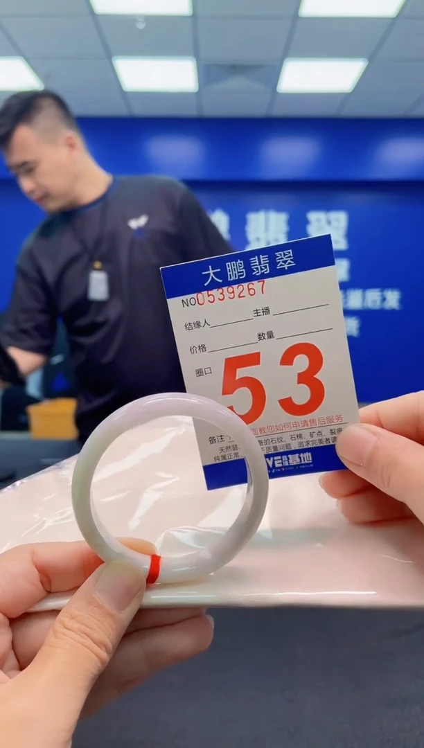 未镶嵌手镯翡翠AAAAAAAAA