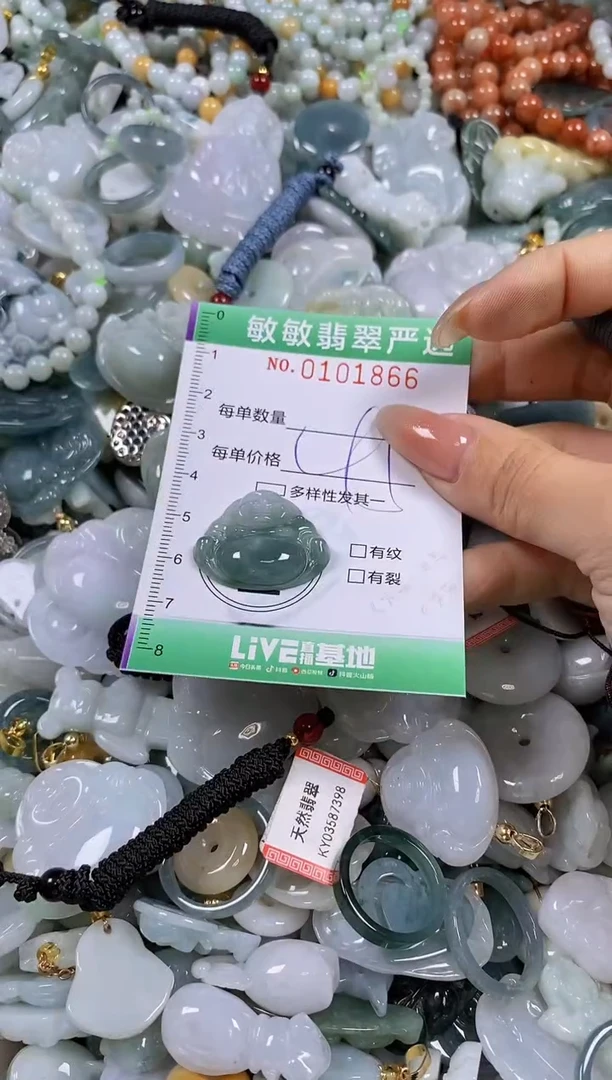 【闪购商品】翡翠颈饰未镶嵌闪购链接0101866