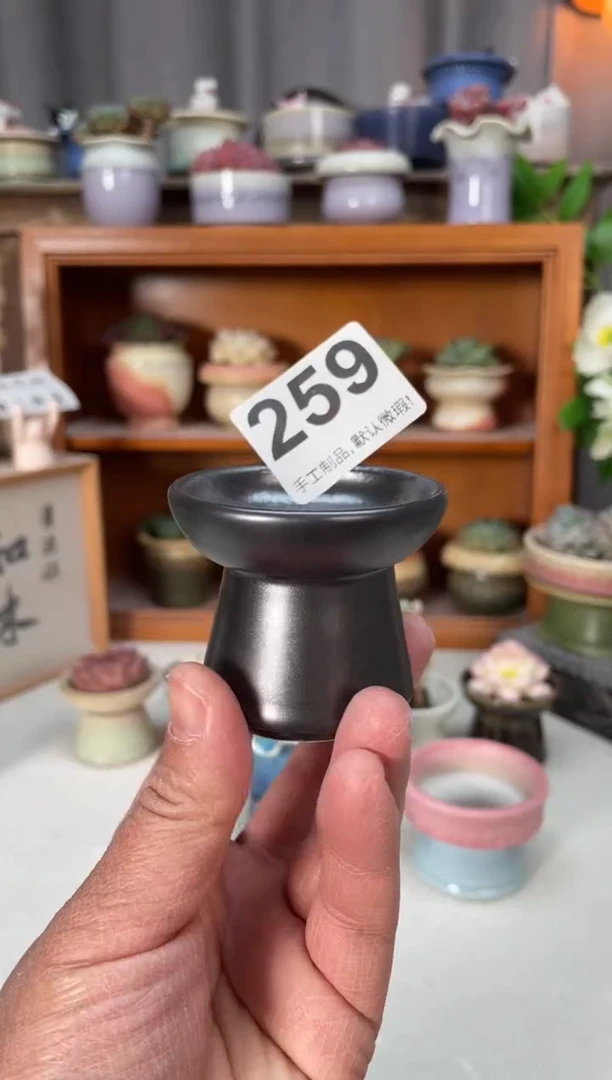 瓷片259小芳直播编号