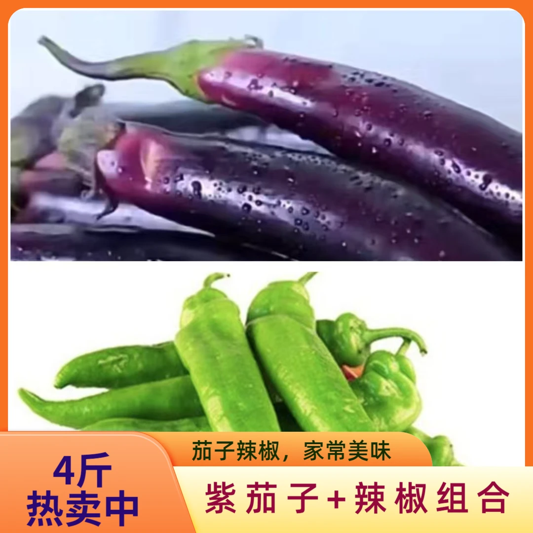 蔬菜组合【紫茄子2斤+尖椒2斤】共4斤（包邮）