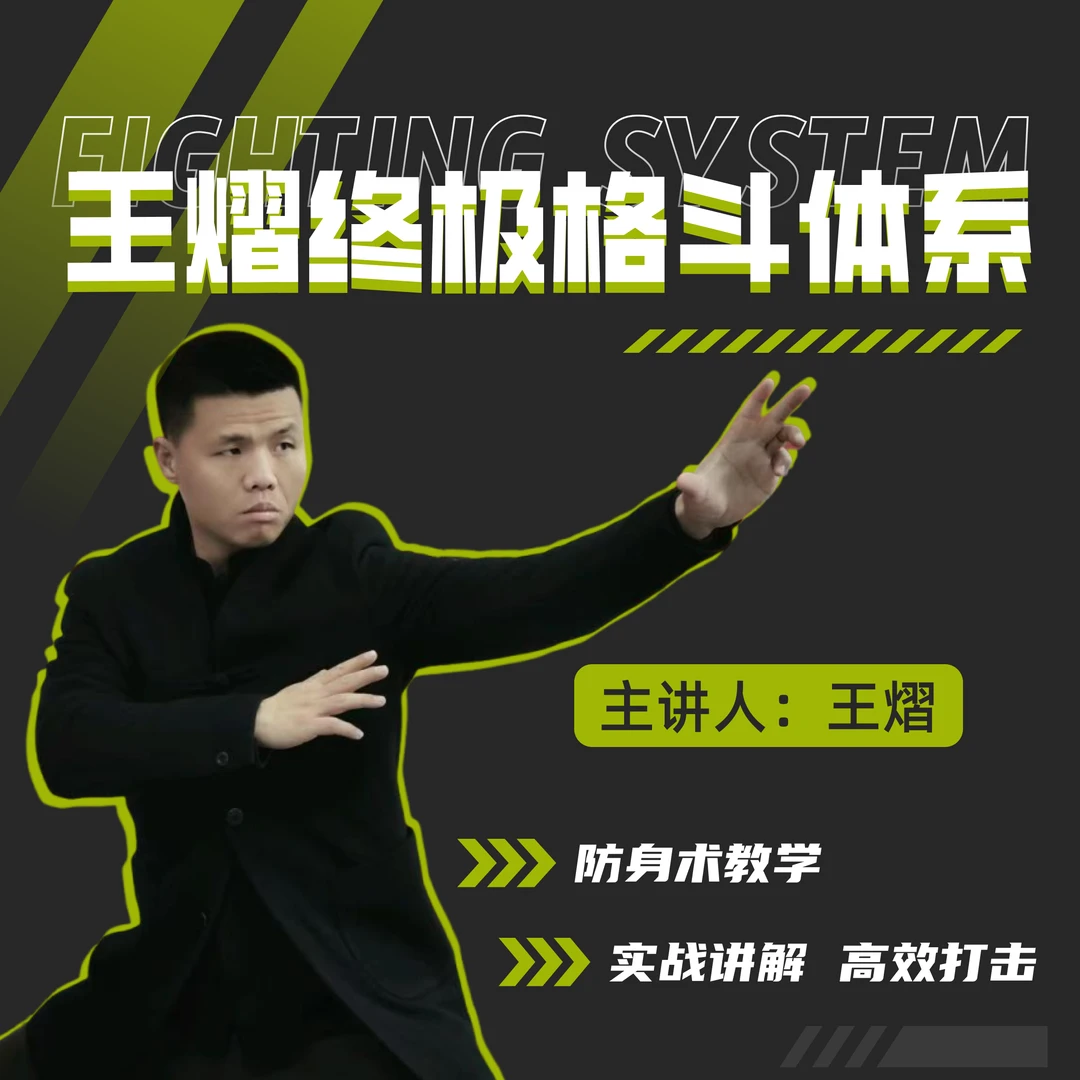 街头防身术零基础入门视频课(查收短信链接看课)