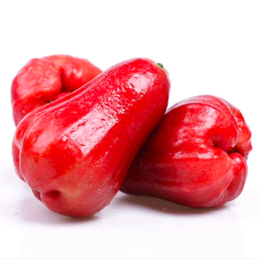 【一颗莲雾8杯水】新鲜莲雾3个（约250-270g）