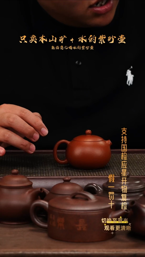 茶壶紫砂全手龙山朱泥 河豚西施
