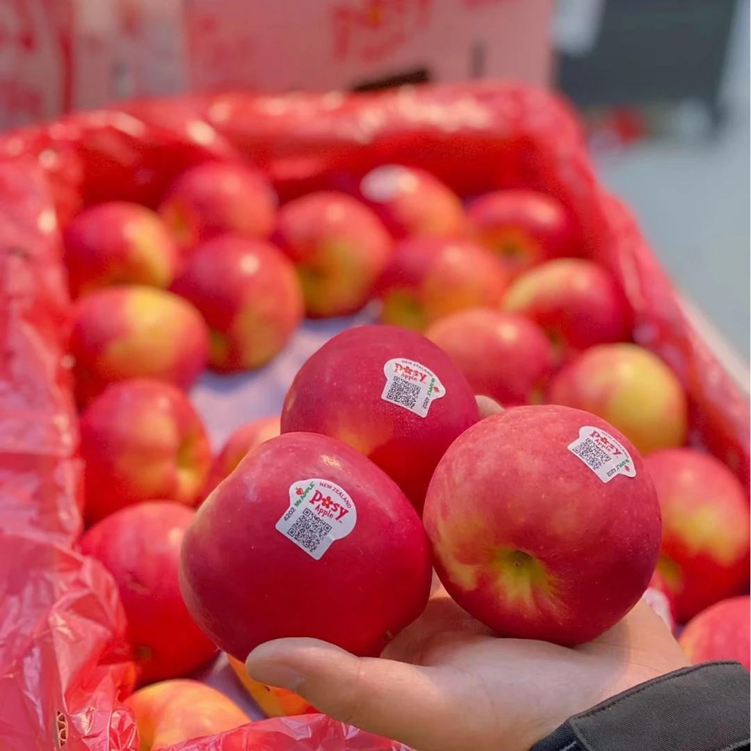 精选新西兰小花苹果