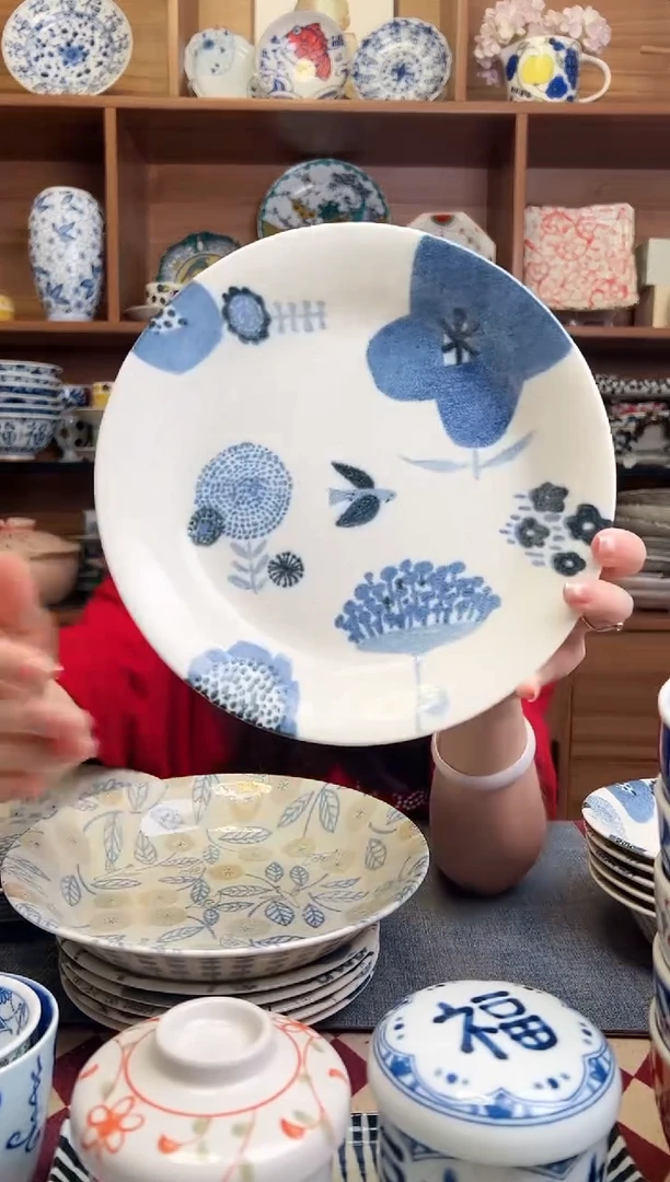 瓷片白昼梦8.5英寸深盘