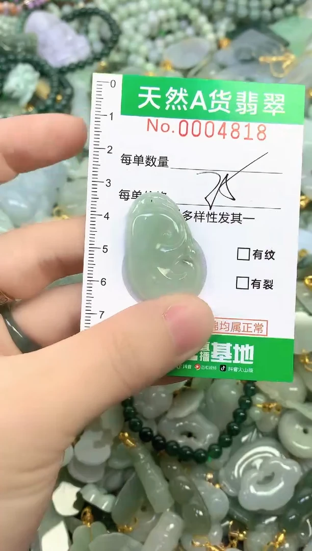 颈饰未镶嵌翡翠纯天然缅甸A货翡翠