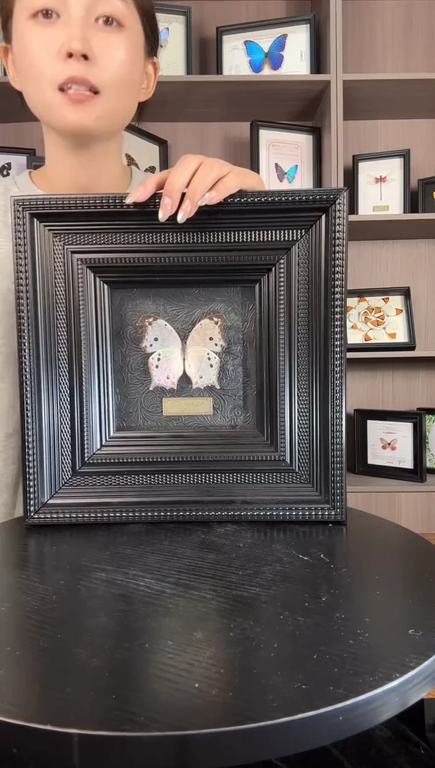 实木竖款绿贝锯蛱蝶（蝴蝶装饰画10寸框）