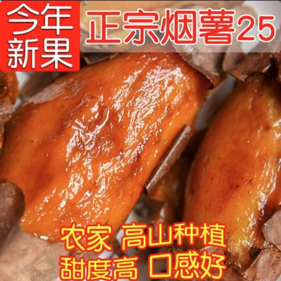 产地直发烟薯25正宗高山沙地烤制糖心蜜薯软糯香甜流油lyy