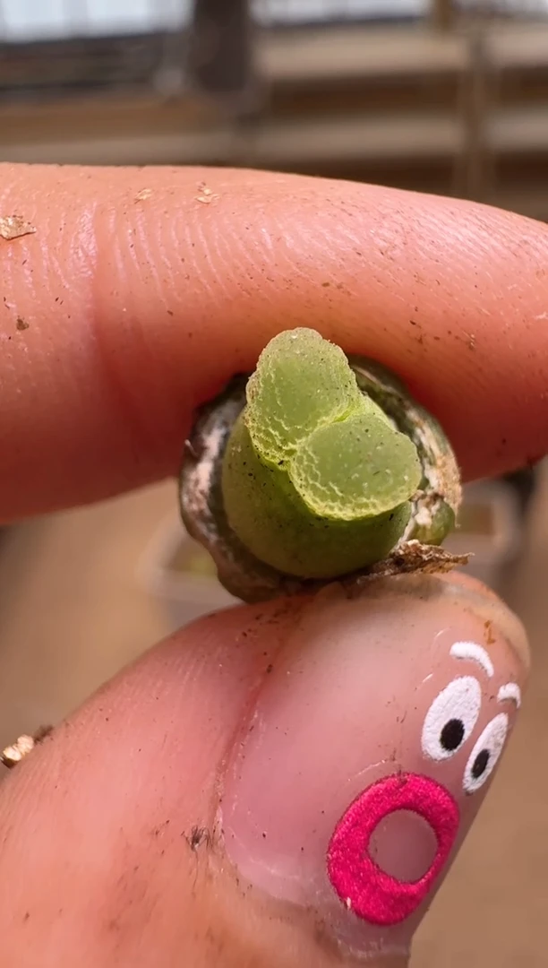 【闪购商品】16-73