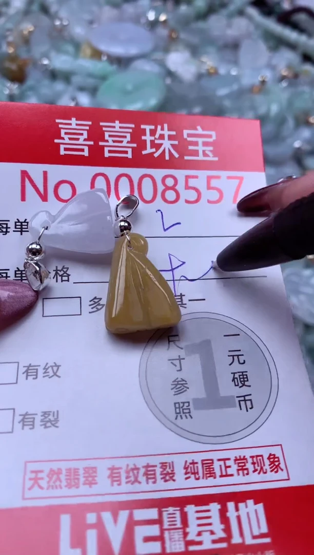 颈饰未镶嵌翡翠8557