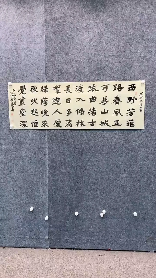 【闪购商品】书法pmw不二轩旗舰店国画ZJD17