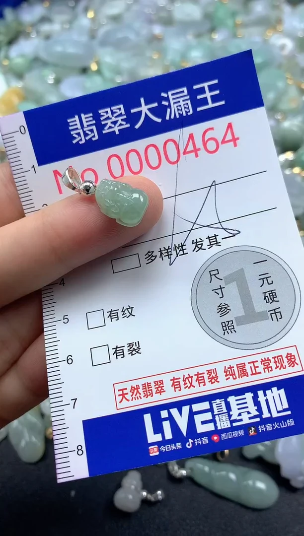 翡翠未镶嵌吊坠(不含链)464