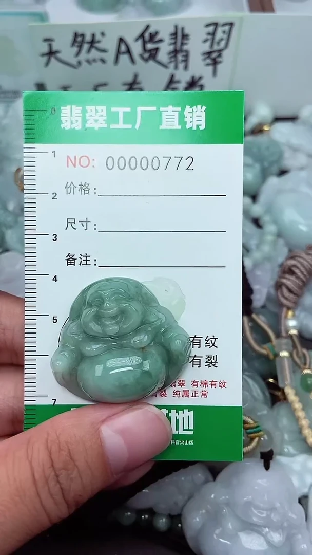 颈饰未镶嵌翡翠缅甸天然翡翠拍一发一0772