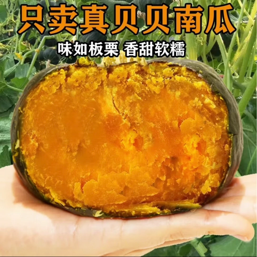 【海吉星专属】正宗贝贝南瓜糯香板栗味宝宝辅食小南瓜2.3-2.5斤5-6个果