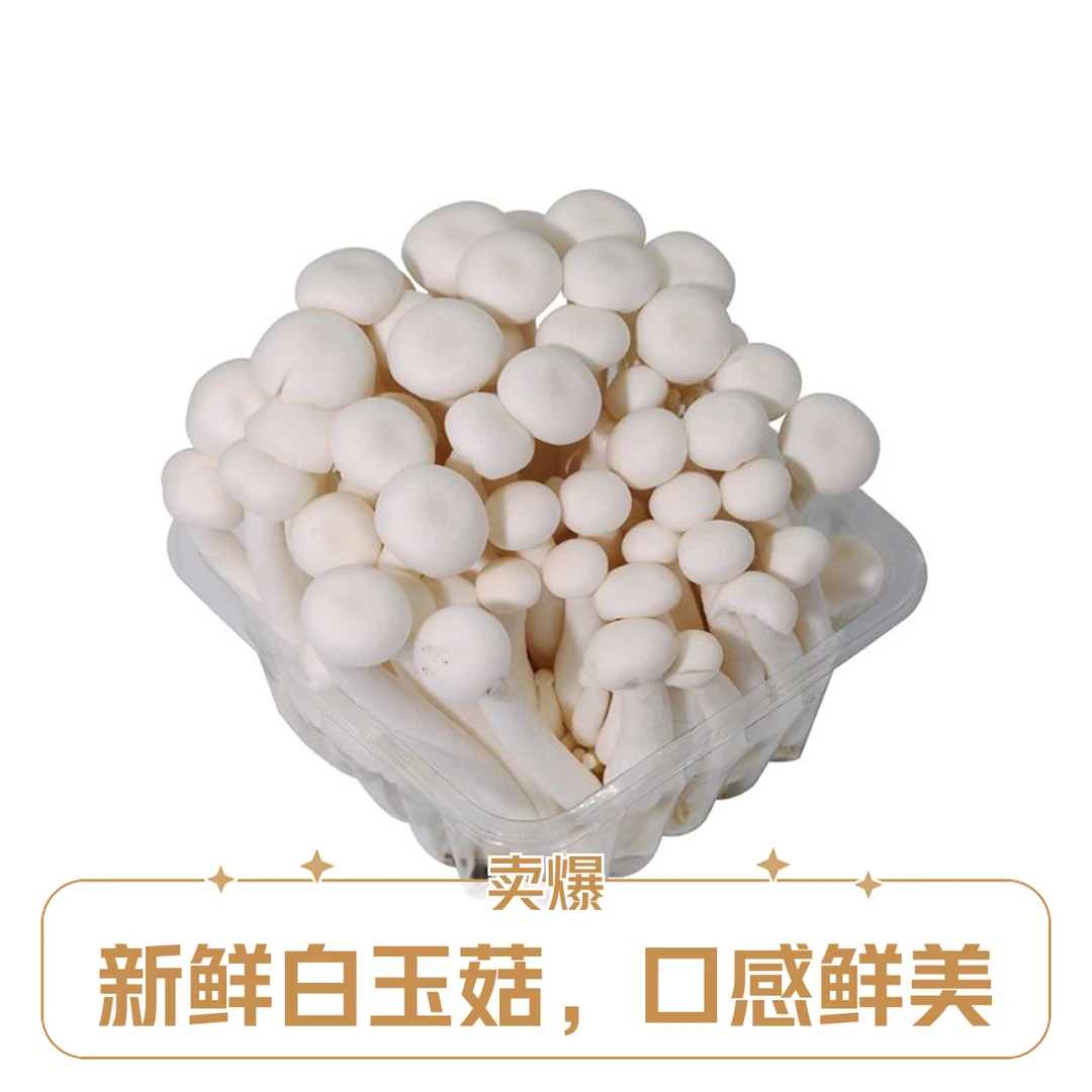 白玉菇约180g/盒白玉菇