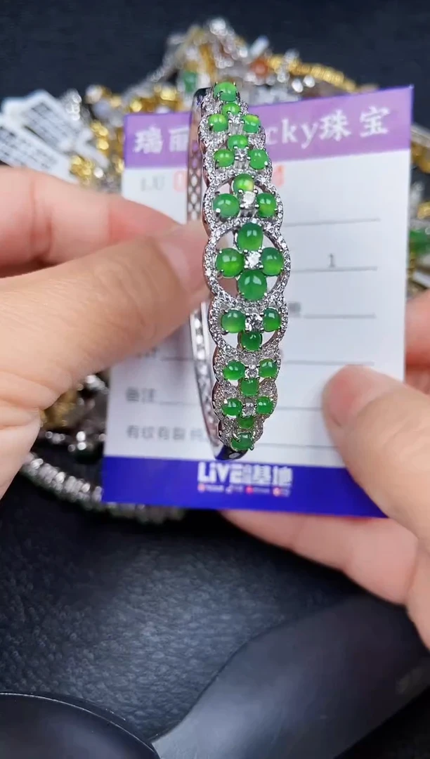 翡翠银S925镶嵌颈饰9494
