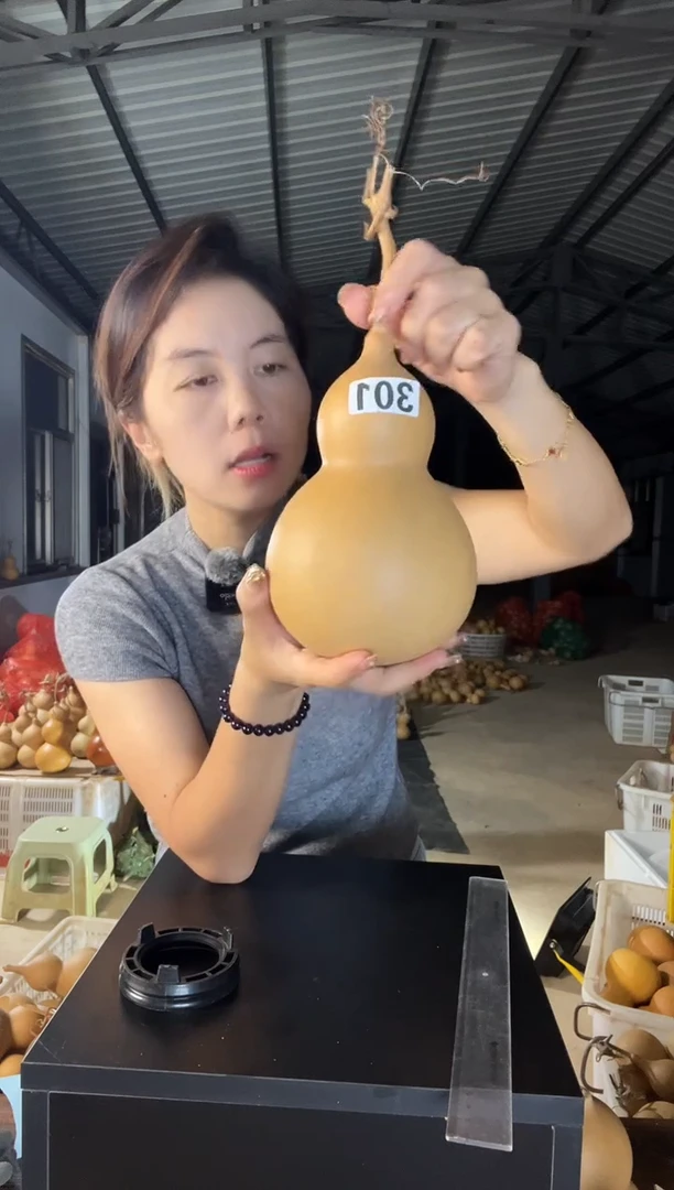 301天然葫芦摆件 一物一拍龙头不保售后