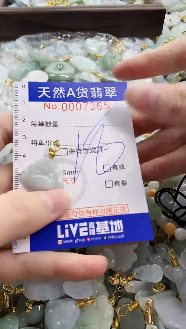 颈饰未镶嵌翡翠天然A货翡翠