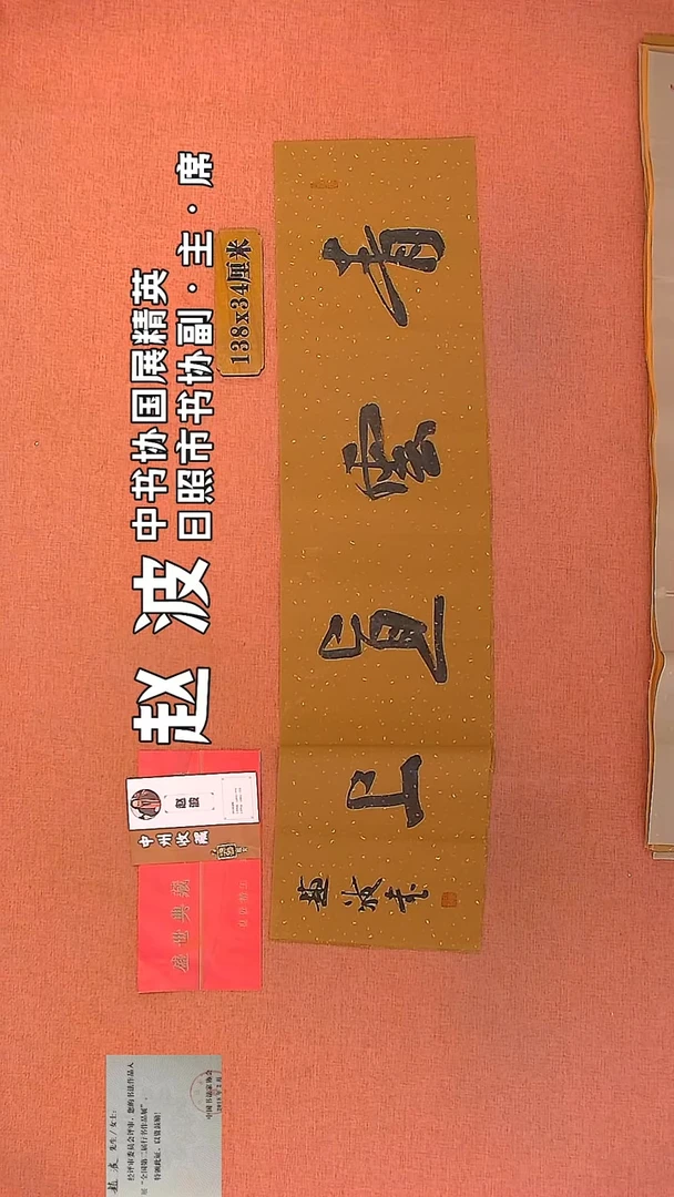 【闪购商品】书法209    赵波老师作品