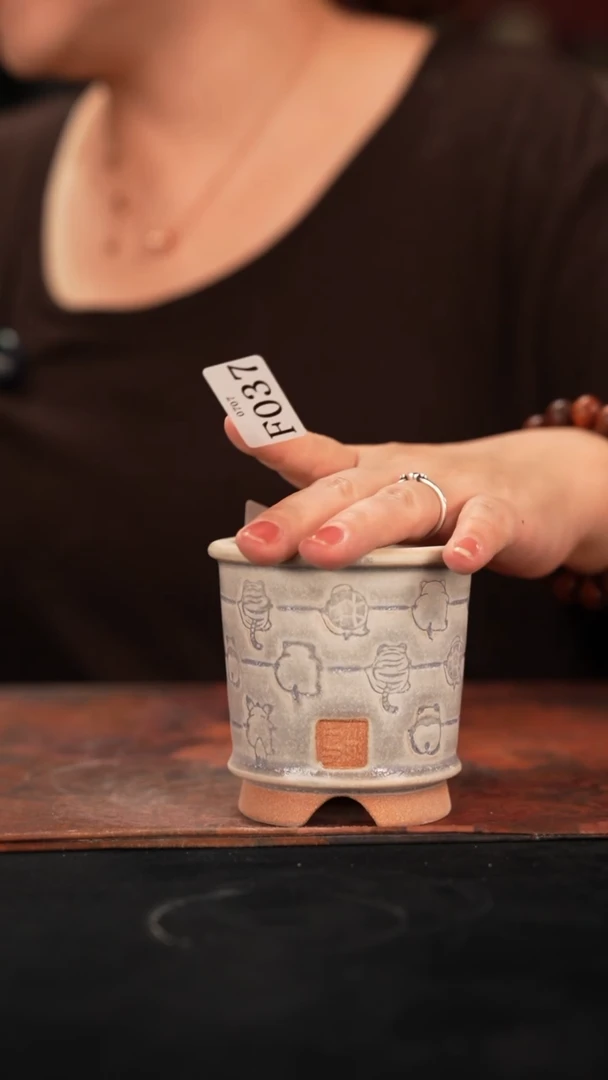 7-7-037花盆口径6.5