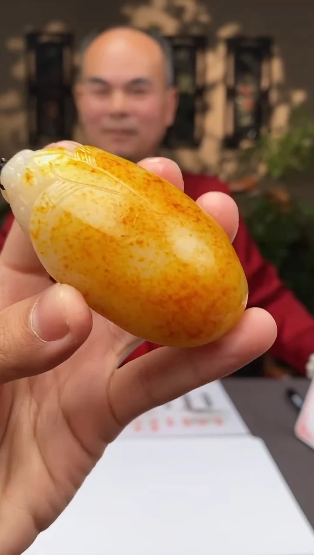 【闪购商品】和田玉颈饰未镶嵌C471