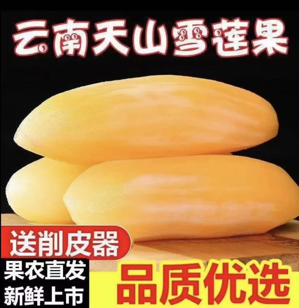 云南正宗现挖黄心天山雪莲果新鲜脆甜多汁应季水果5斤10斤装