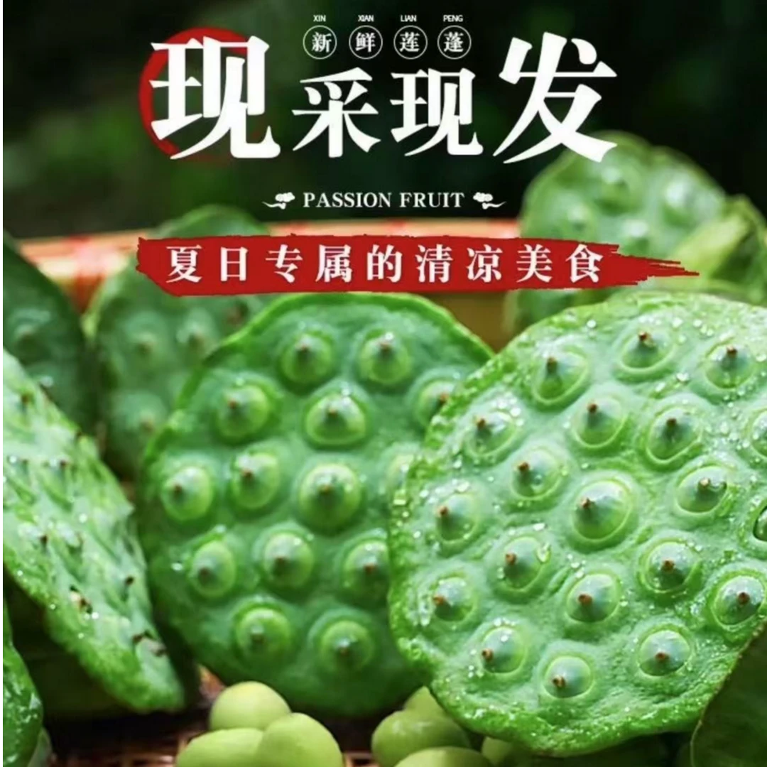 湖南新鲜莲蓬7-8-9成熟夏季煲汤煲粥炒菜甜品自然成熟无硫磺漂白