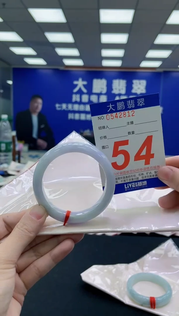未镶嵌手镯翡翠AAAAAAAAA