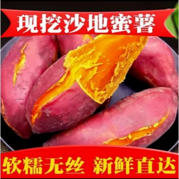 [软糯香甜]沙地黄心板栗蜜薯沙地番薯软糯香甜皮薄自种9斤