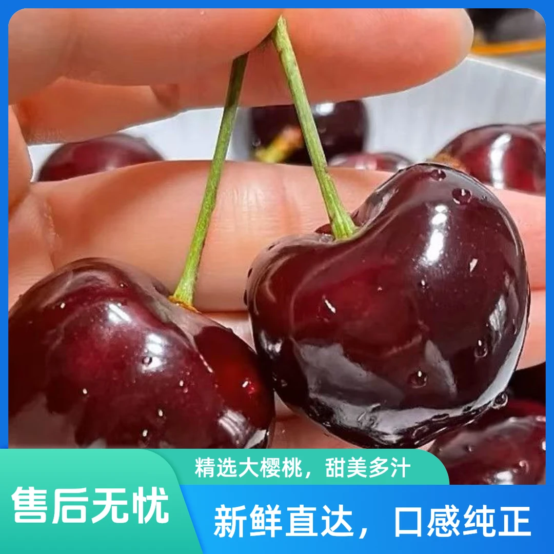 【大连樱桃】产地直采绿色健康（顺丰包邮）次日送达 1/2斤 1J 2J 3J 4J