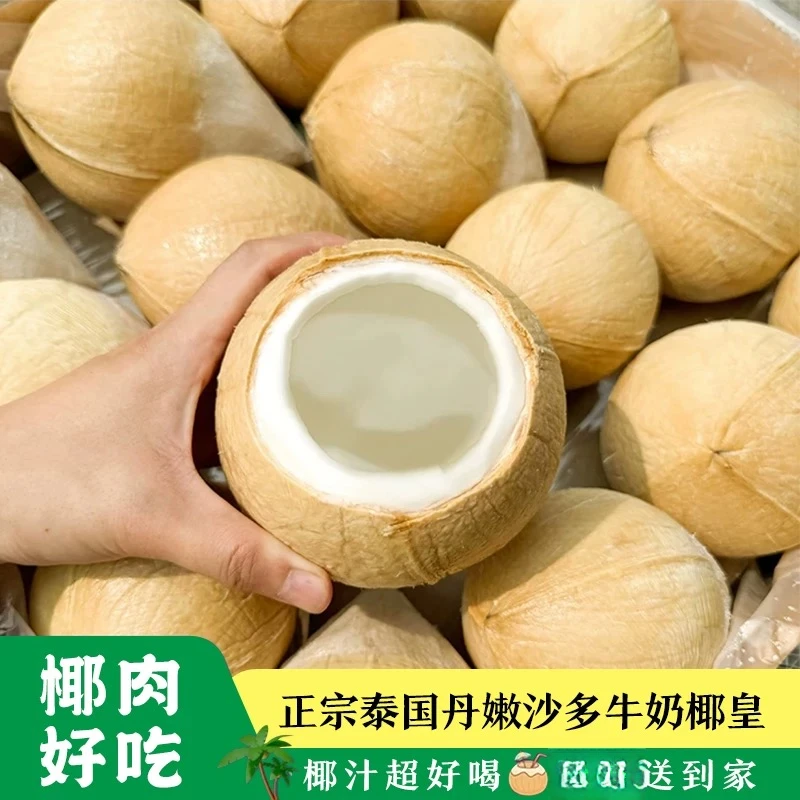【广东次日达】泰国椰皇丹嫩沙多老树椰皇孕妈水果电解质6/9颗 快递送到家550-650克 比椰青更香甜新鲜