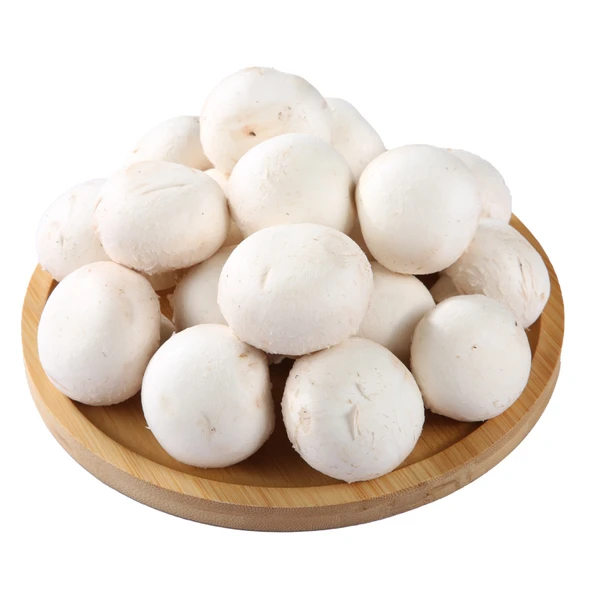 白蘑菇 230g