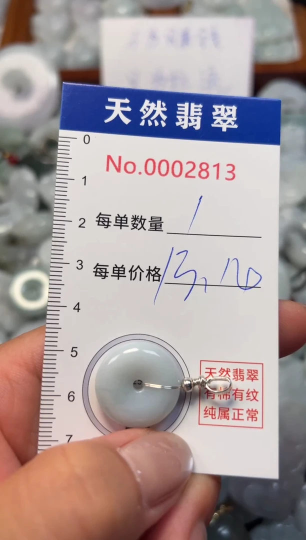 翡翠未镶嵌吊坠(不含链)2813