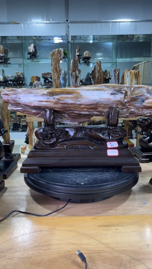 【闪购商品】硅化玉珠宝奇石未镶嵌1