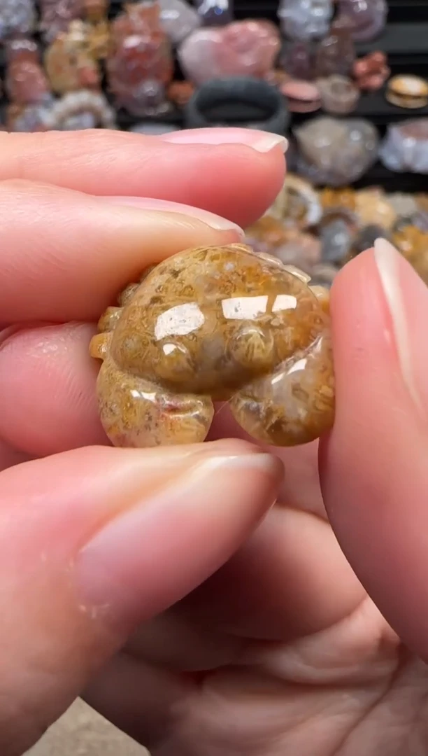 颈饰未镶嵌硅化珊瑚（珊瑚玉）731