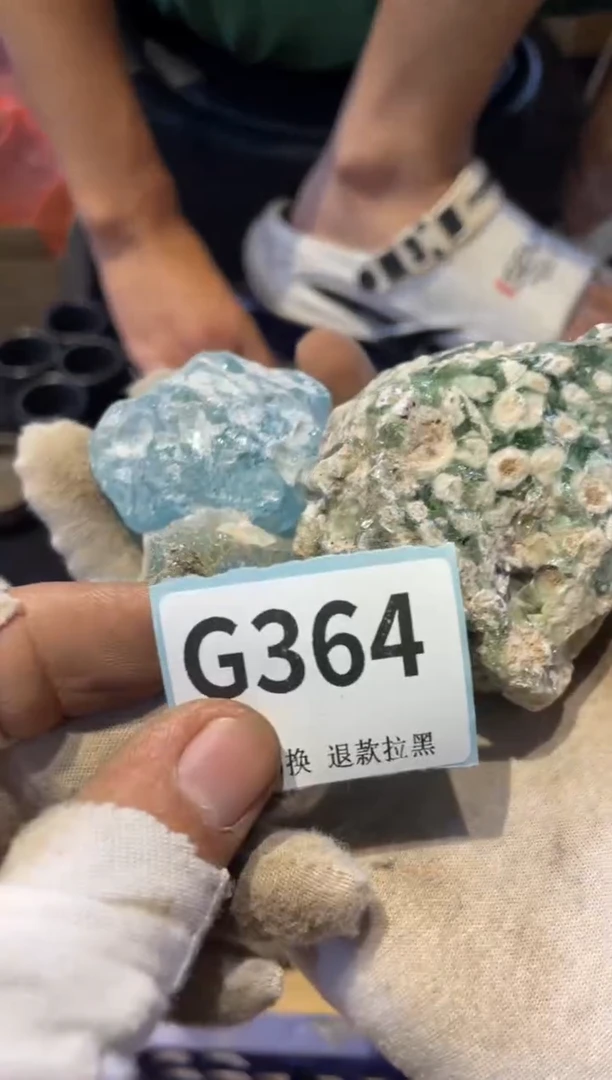 瓷片托***门表弟直播链接火爆火爆