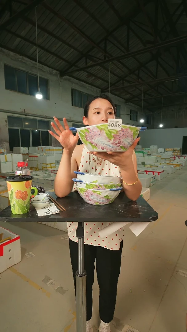 陶瓷景德镇高温釉下手绘陶瓷