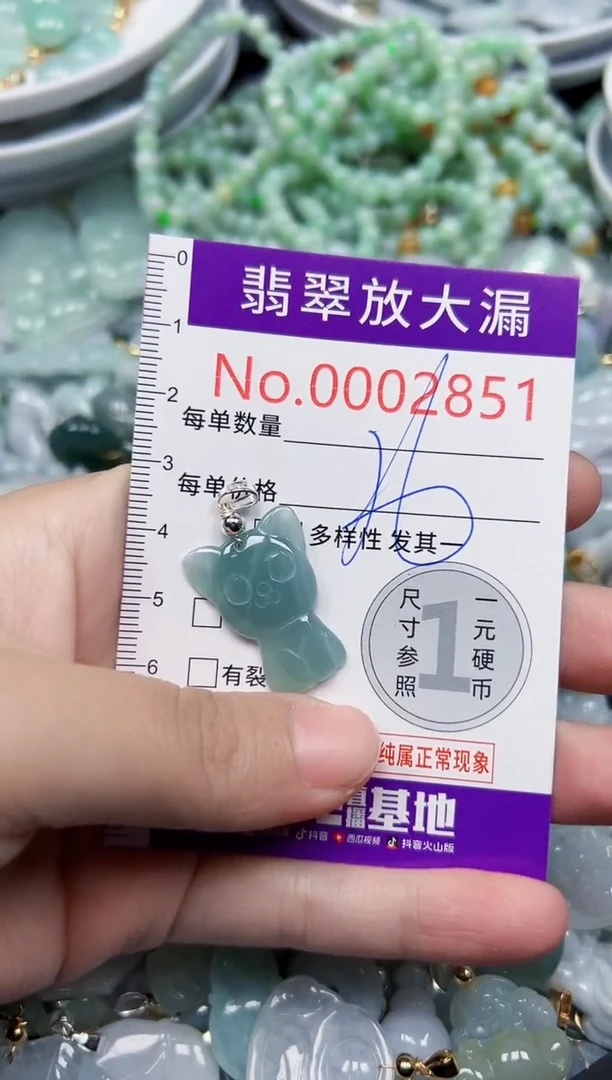 颈饰未镶嵌翡翠2851